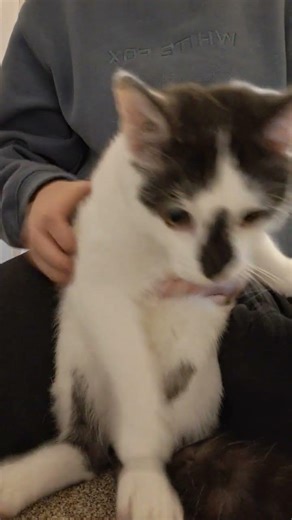 Blooper from the trying to set sail video! 🤣😭