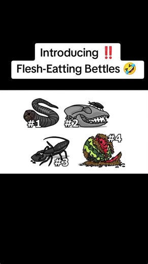 Nature&Animal_experiments (@natureanimalexperiments)’s videos with original sound - Nature&Animal_experiments