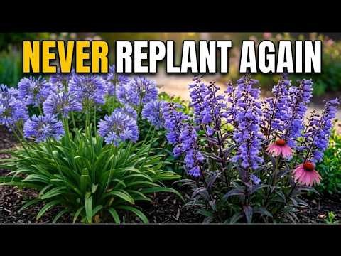 10 Container Perennials You Must Plant in April (They Come Back Every Year!)