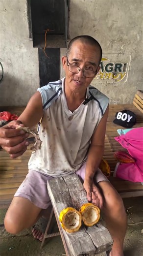 Sekreto para sa Makinis na Kutis: Cacao Farming