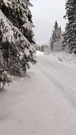THIERRY NEUVILLE 🇧🇪 testing in Finland 🇫🇮 for Rally Sweden 🇸🇪#testtime #snow #ice #pedaltothemetal #flatout #hmsgofficial #hyundaii20n #rally1 #rallycar #wrc #rally 📹: rourebel IG