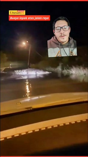 Saltwater Crocodiles: Habitat, Behavior, and Comparison