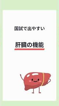 肝臓の機能ついて解説！ #看護学生 #看護師国家試験 #看護師国家試験対策 #shorts