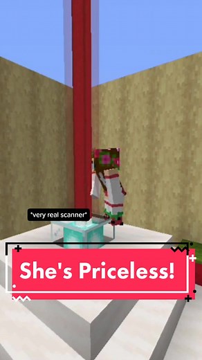 She's Priceless! - Minecraft Scanner Test
