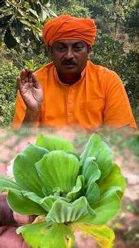 ఈ మొక్క వేరు, ఆకు అని ఔషధాలే ..! వెంటనే తెచ్చి ఇంట్లో పెంచండి #ayurved #yt #tips #shorts #remedy