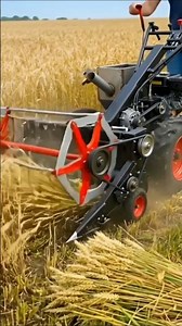 'New machine Gundam cartoon valley 🌾🪚