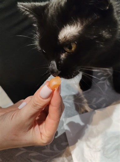 Cipi încearcă sushi pentru prima oară