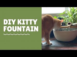 DIY Kitty Fountain