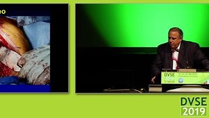 Bone Loss in Revision Shoulder Arthroplasty: Glenoid Side, My Treatment Strategy