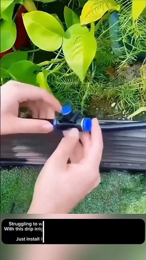 Easy Drip Irrigation Connector Setup for Healthier Plants!