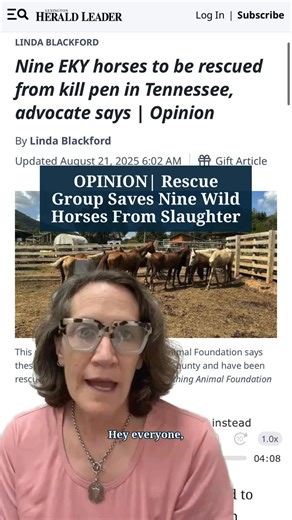 5.3K views · 60 reactions | An animal rescue group has saved nine wild horses from a Tennessee kill pen, offering hope amid ongoing concerns for Kentucky’s free-roaming horses. #kentucky #kentuckywildlife #horses #animalrescue #tennessee | Kentucky.com | Facebook