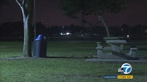 9-year-old girl loses left hand, right fingers in firework explosion