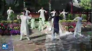 Hua Yi, a leading exponent of Wuqinxi, or Five-animal Play, demonstrates this set of exercises inspired by the movements of five animals: monkey, deer, crane, bear and tiger | Xinhua Culture&Travel