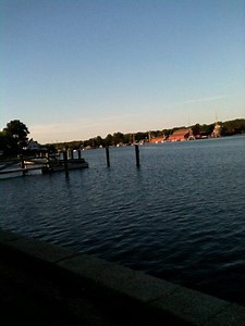 What One Small Tick Can Do