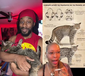 Cat Superpowers: The Amazing Abilities of Cats Explained