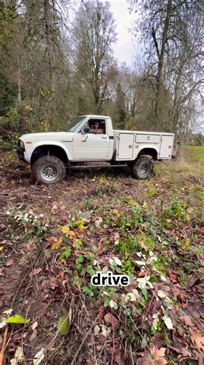 The True Difference Between 2 Wheel Drive And 4 Wheel Drive Demonstrated #2wd #4wd #4x4