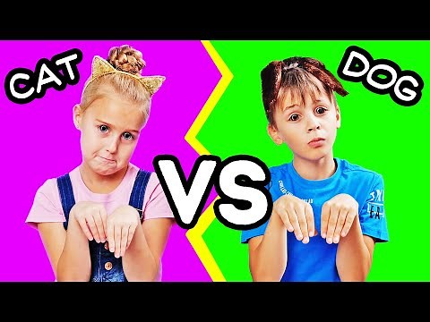 CAT VS DOG || Funny Things Pets do! by 123 GO! Play