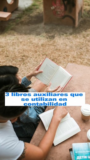 3 Libros Auxiliares que se Utilizan en Contabilidad🧾 #contabilidade #contabilidadyfinanzas #contabilidadbasica #contabilidadparanocontadores #finanzas #tipscontables #tipscontadores