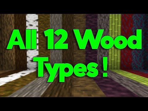 Showcasing all 12 Wood Types in Minecraft!