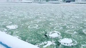Check out this pancake ice off the shore of Grand Haven, MI. Pancake ice forms where there is wave action and temps below freezing. These discs can get up to 10’ in diameter and up to 4” thick! | America's Morning Headquarters