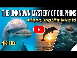 Inside The Mind of a Dolphin The Secret Intelligence of The Deep! 4K Full Documentary 2025