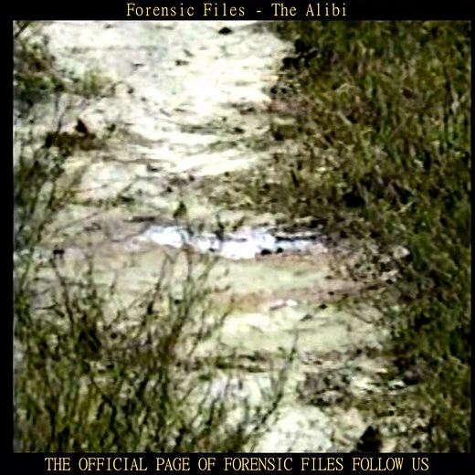 Forensic Files - The Alibi | Forensic Files Full Episode