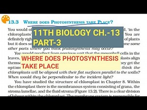 Class 11 Biology|Ch.-13 |Part-3||Where does photosynthesis take place||Study with Farru