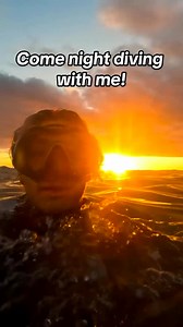 Have you ever been diving at night? There's so much to discover after the sun sets! 📍Nudi Bar, Big Island, Hawai’i 🎥 IG 'tidepoolphotography' | PADI