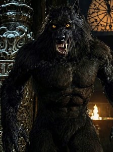 #wolf | wolf
