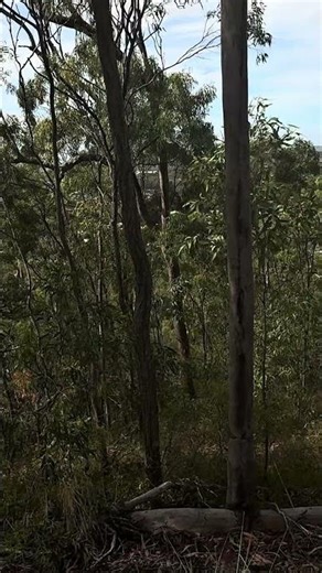 Round Hill Lookout Gladstone #australia #outback #roadtrip #aussie #queensland