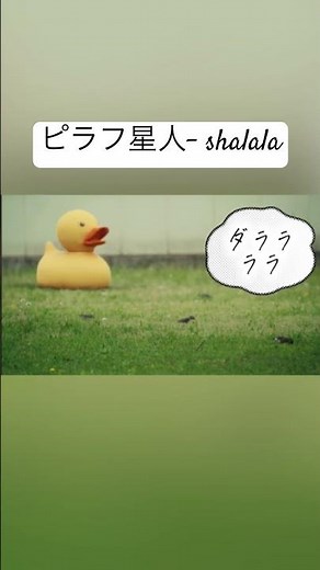 shalala歌詞動画#ピラフ星人 #shalala