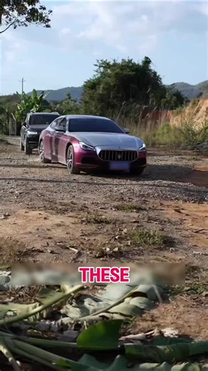 The True Meaning of Friendship: Lessons from Life