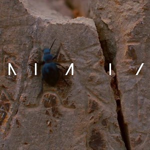 “A fascinating deep dive into a sci-fi, horror classic” - The Playlist Memory: The Origins of Alien now in theater and on-demand! | Screen Media