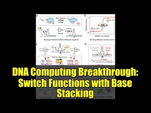 DNA Computing Breakthrough: Switch Functions with Base Stacking