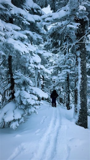 やまと屋 [限界集落での暮らし] on Instagram: "1月20.21日、巨大寒波襲来中厳冬期武尊山泊まりでの山行。自宅玄関前から板を履きフルハイクで山頂を目指す。武尊山TOP TO 玄関を成し遂げた記録をここに残す。"