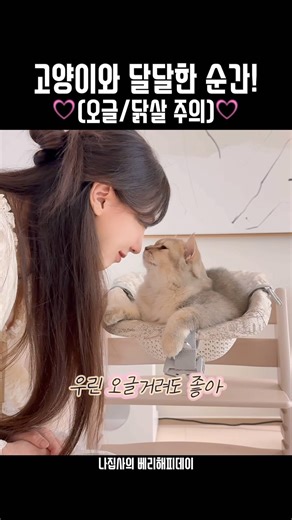 고양이와 달달한 순간⭐️(오글 주의)