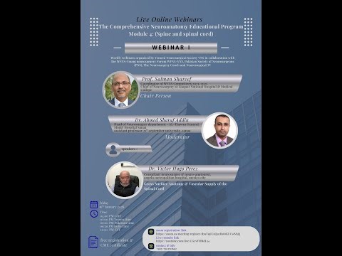 Neuroanatomy Comprehensive Educational Program - Module 4 Session 2