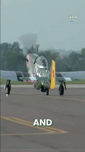 P-51 Mustang: King of the Skies