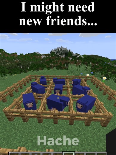 Need New Friends in Minecraft?