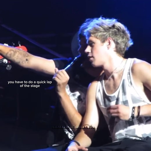 Niall Horan and Louis Tomlinson Funny Moments