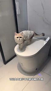 Cat You go to the toilet, I will supervise the toilet #cat #funnycats #cute