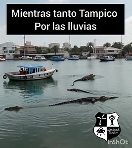 Alien beach Tampico on Reels