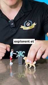 100K views · 1K reactions | Pourquoi les chiens mangent-ils de l'herbe ? | Educ Dog | Facebook