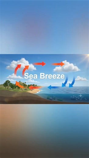 ​Land Breeze & Sea Breeze Class 7/8 Science 📚