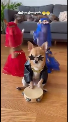 मिले ना मोहे सईंया मन‌के 😜😁#shorts#problogger_up26#funny #trending #comedy