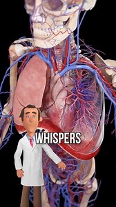 5.5K views · 113 reactions | cold shower | testosterone doctor | Facebook