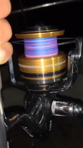 #fishing#shark#reel#like#popular | Shark Fishing