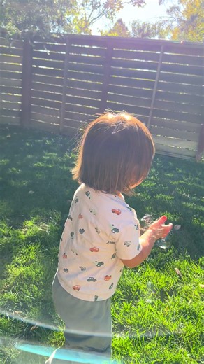 Life: No vs. Yes - A Toddler's Perspective