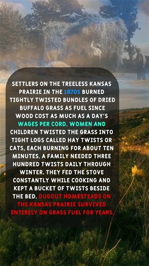 Why 1870s Great Plains Farmers Burned Twisted Grass Instead of Buying Wood.