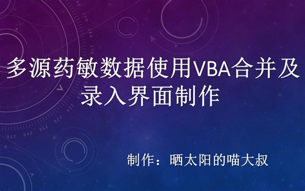 Excel多页数据使用VBA合并及录入界面制作演示